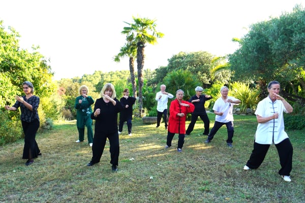 cours collectifs plein air association qigong-taichi-montferrier avec Chantal